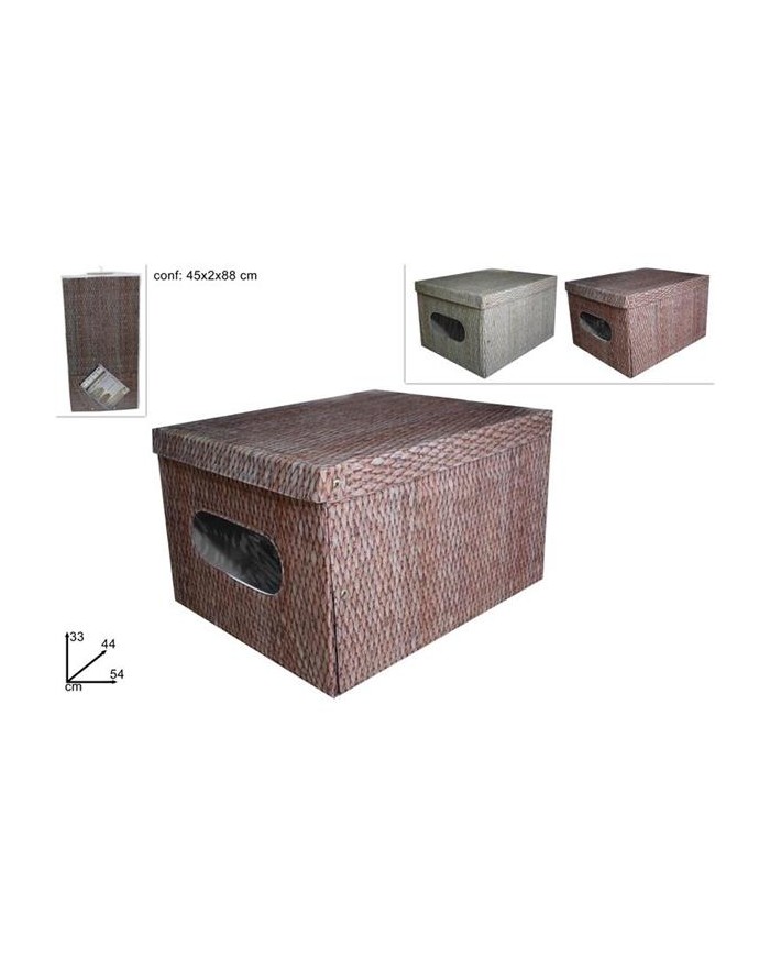 BOX ABITI IN PVC 54x44x33 FANTASIA  DEV19010161