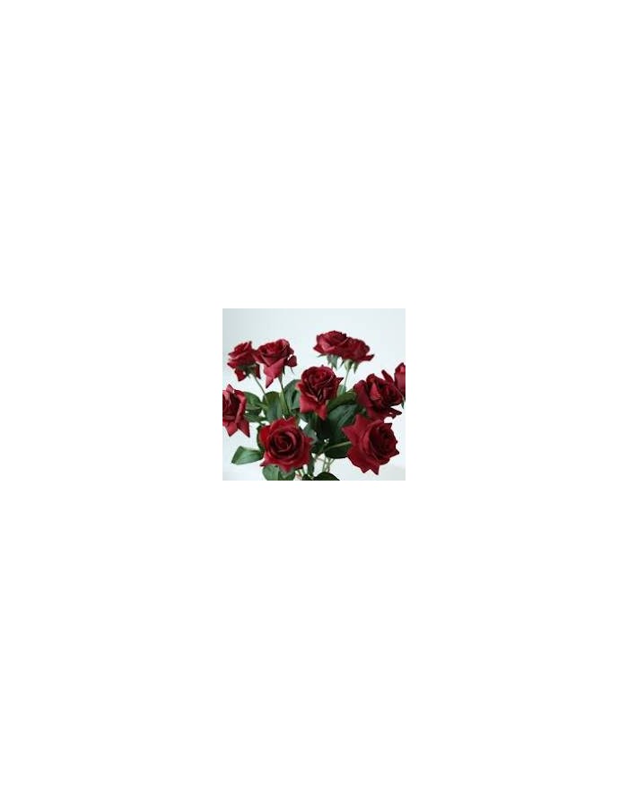 ROSA REAL TOUCH ROSSA 43 cm  103997