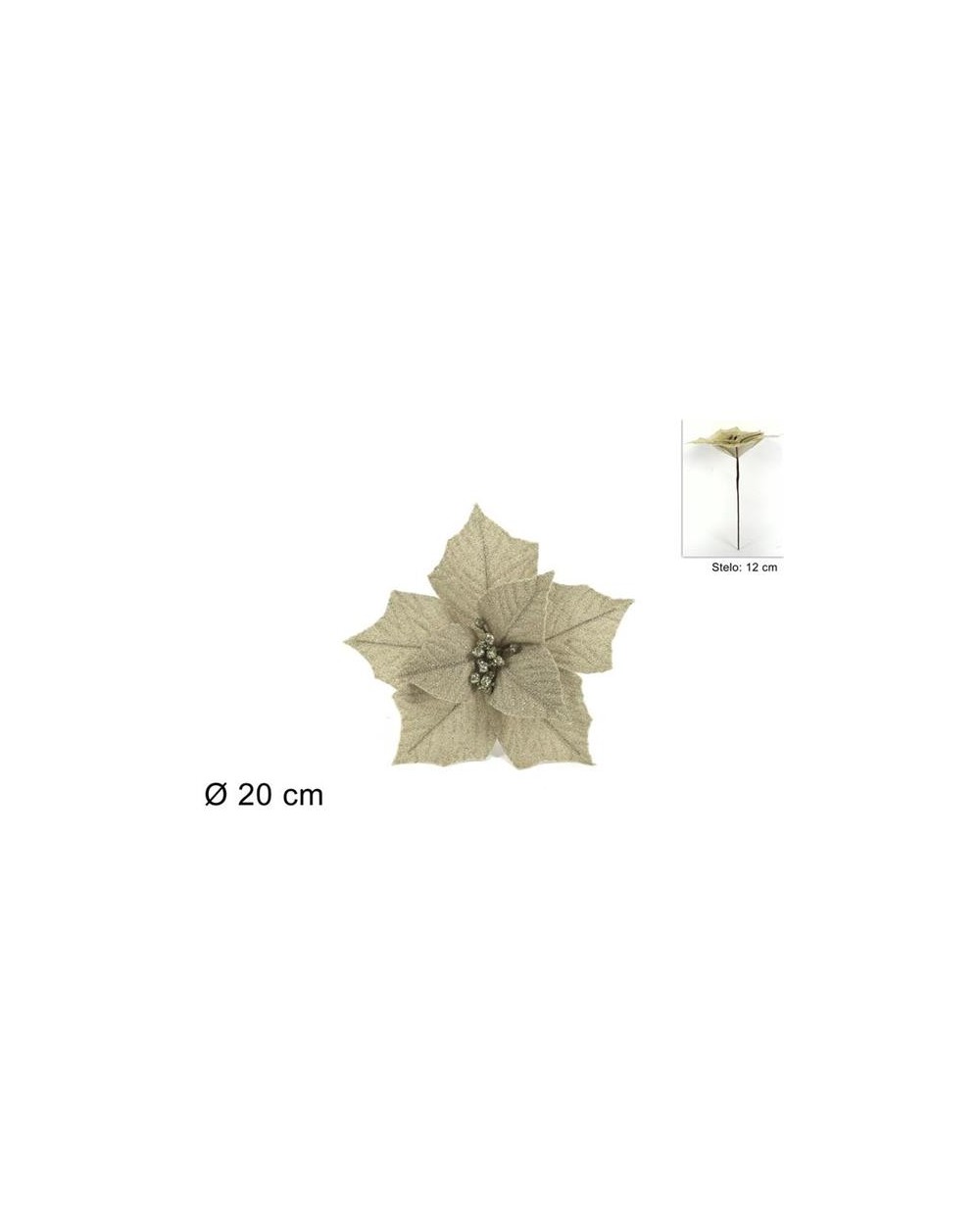 STELO FIORE NATALIZIO CHAMPAGNE  8053482106250