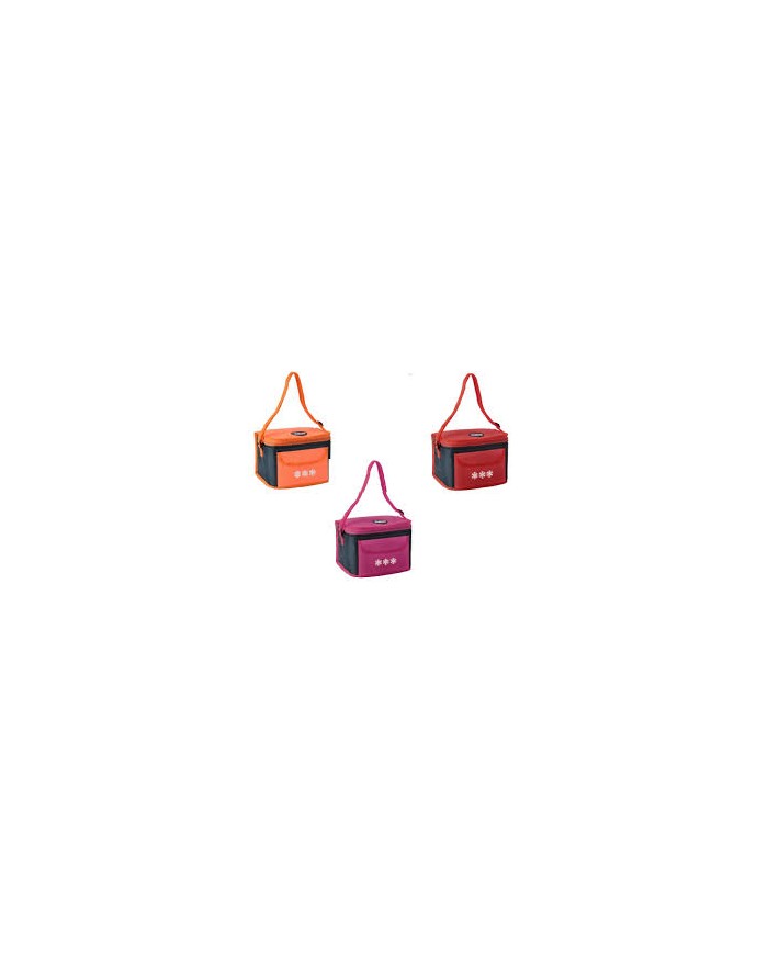 BORSA TERMICA POLAR 18 lt....