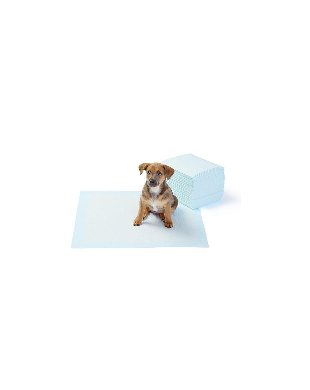 TAPPETINI ANIMALI 60x90 CM 12PZ  8054144363004
