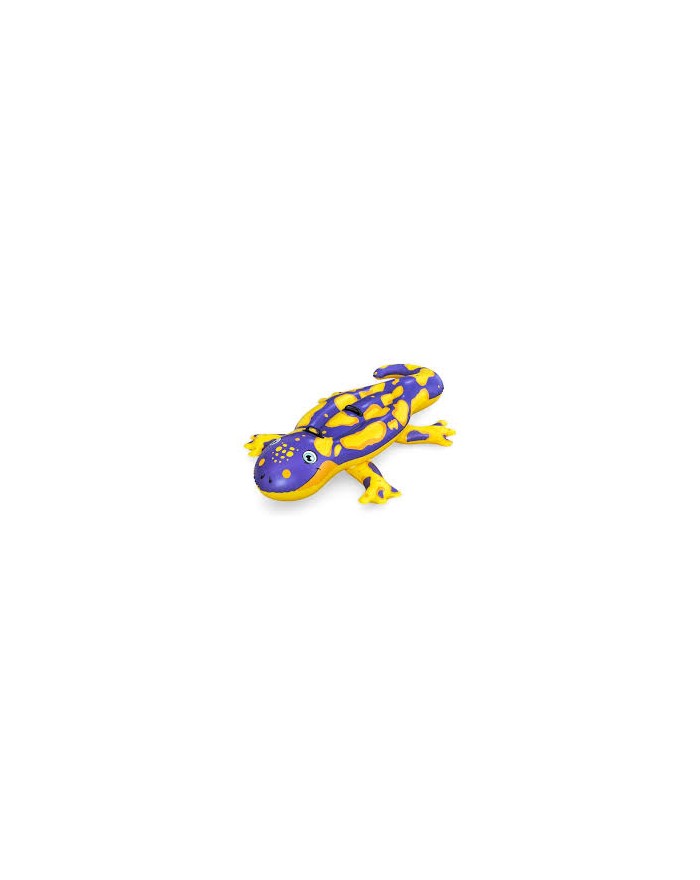 CAVALC SALAMANDRA 191x119...