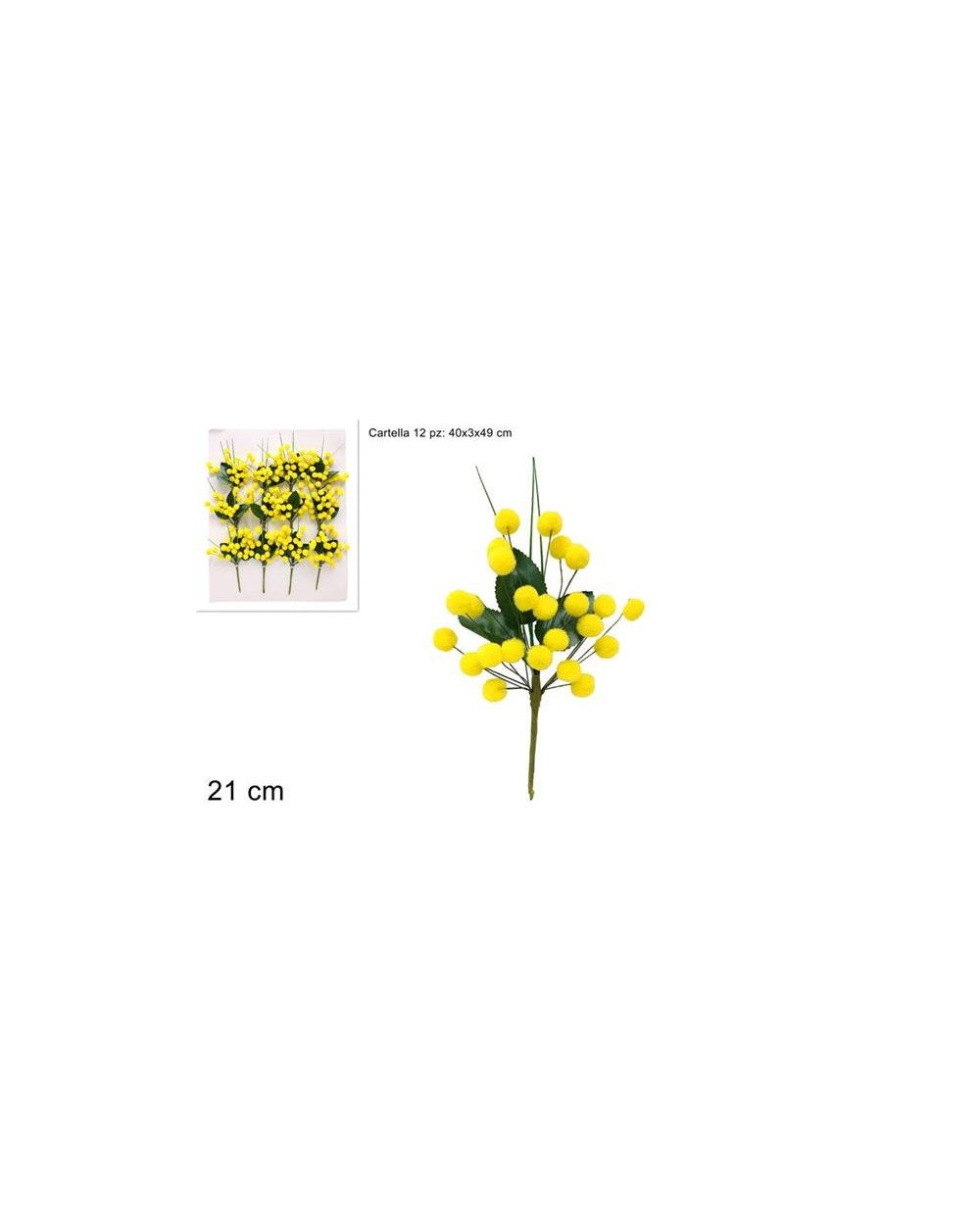 MIMOSA CHIUDIPACCO 5 STELI A194475
