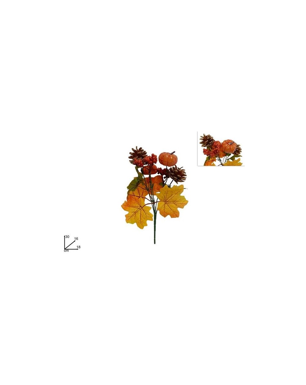 MAZZETTO ZUCCHE E PIGNE 30cm 8053482183688