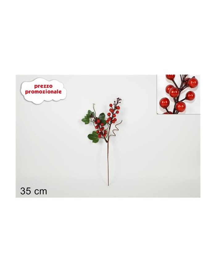 SPILLONE 2 RAMETTI BACCHE...