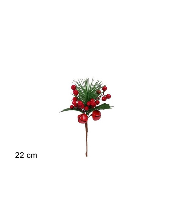 SPILLONE BACCHE C/CAMP.E...