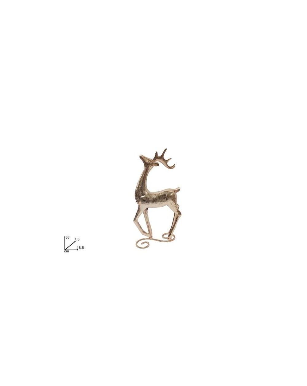 RENNA 38CM ORO IN LATTA  A197939