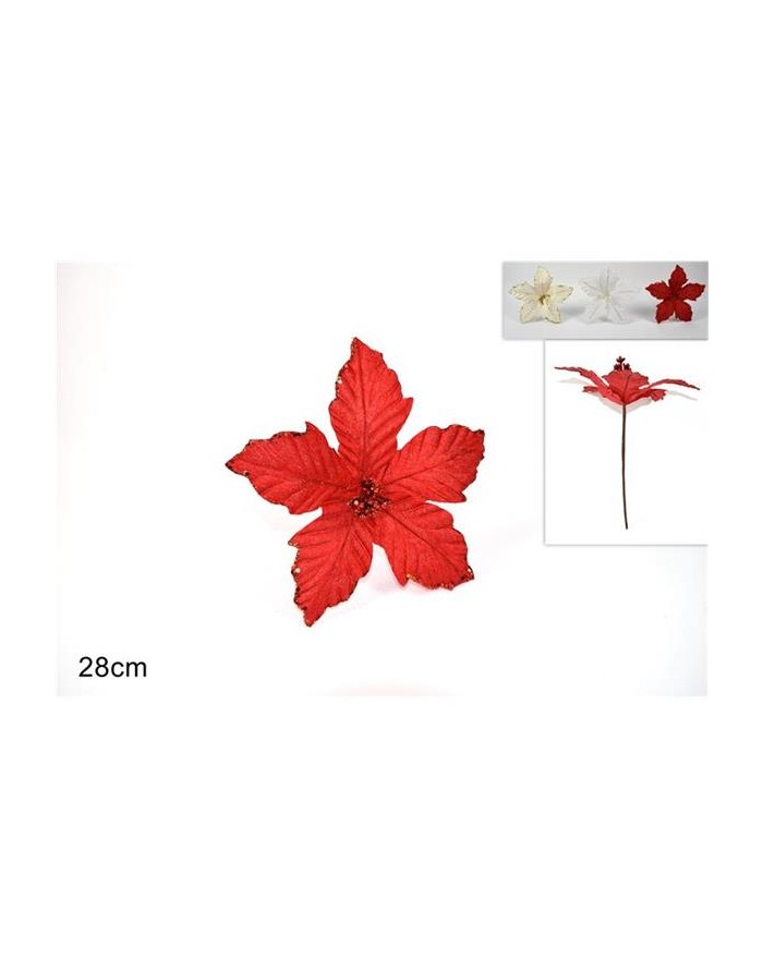 CANDELE SANGUIN.65370  A062798