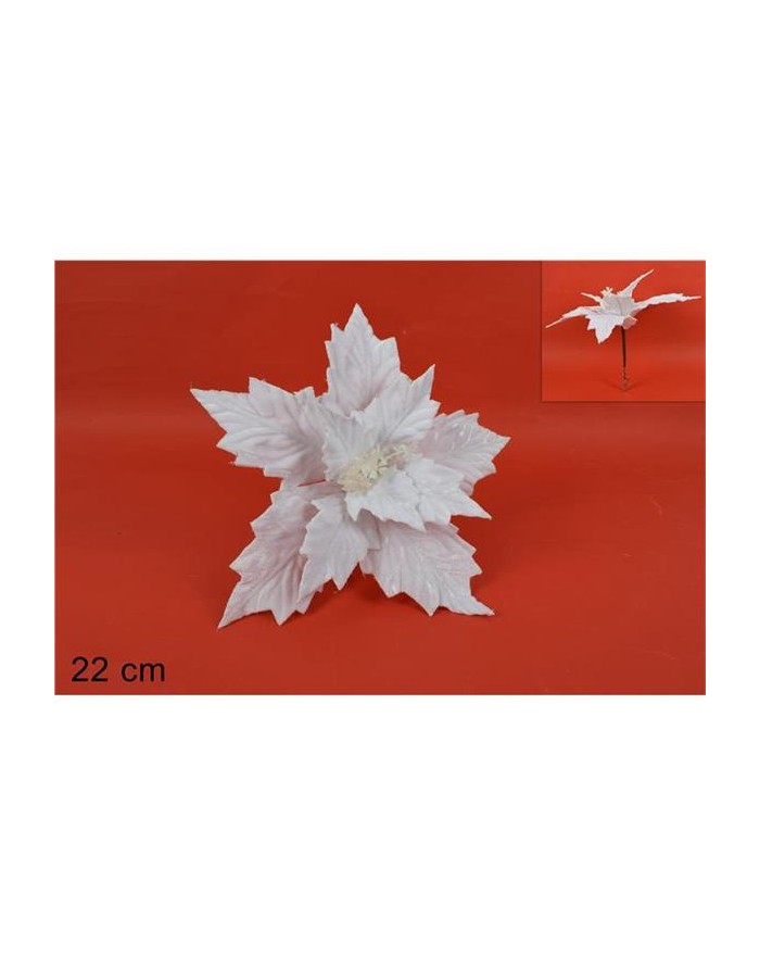 RAGNATELA 2 COLORI  A200434