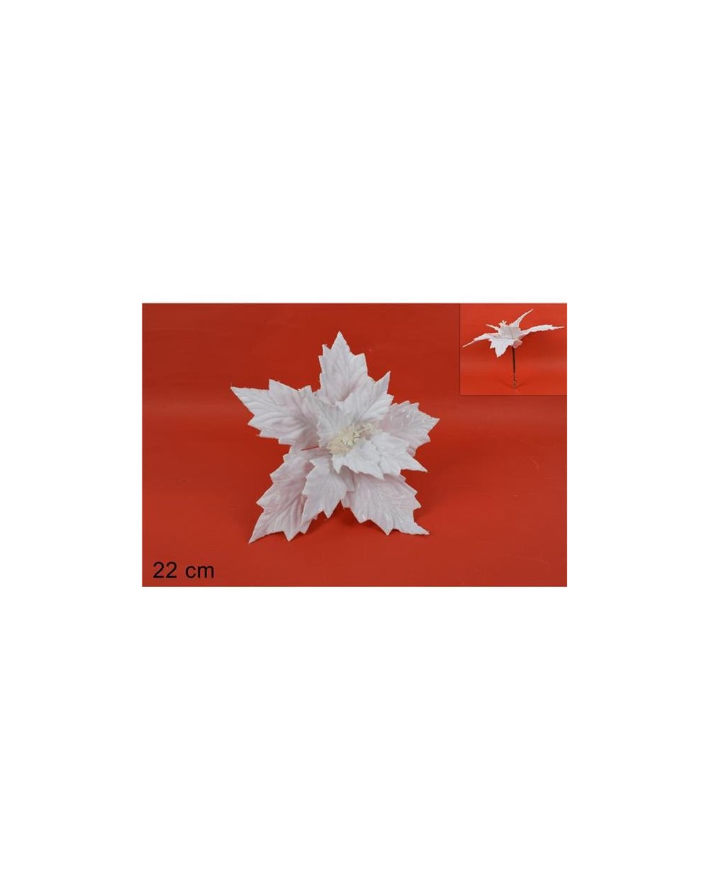 RAGNATELA 2 COLORI  A200434