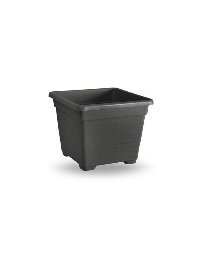 CARTONCINO SEGNAPOSTO...