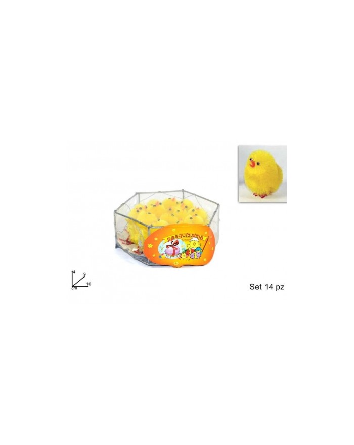 GABBIETTA 14 PULCINI...