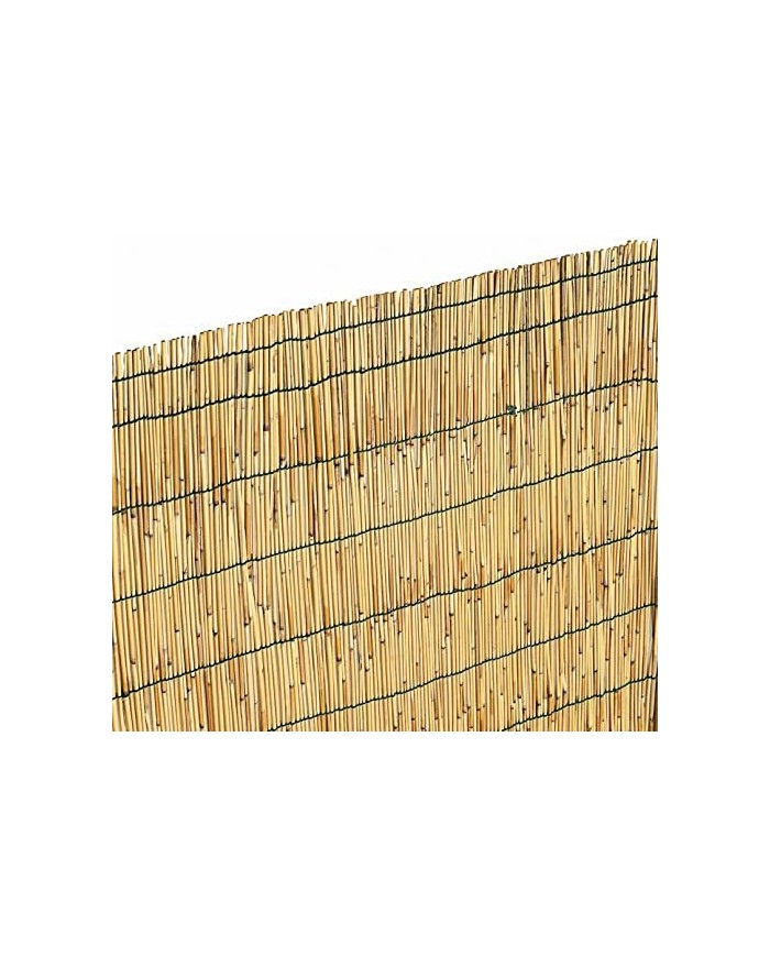 ARELLA CANNICCIO  100x300...