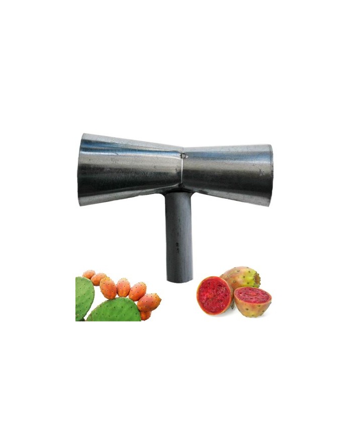 RACCOGLI FICHI D`INDIA...