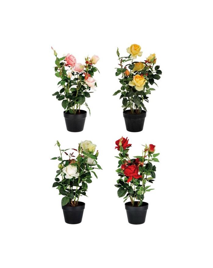 BOUQUET ORTENSIE + DALIE...