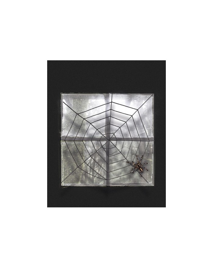 ROSA VIOLA CON GLITTER  09049