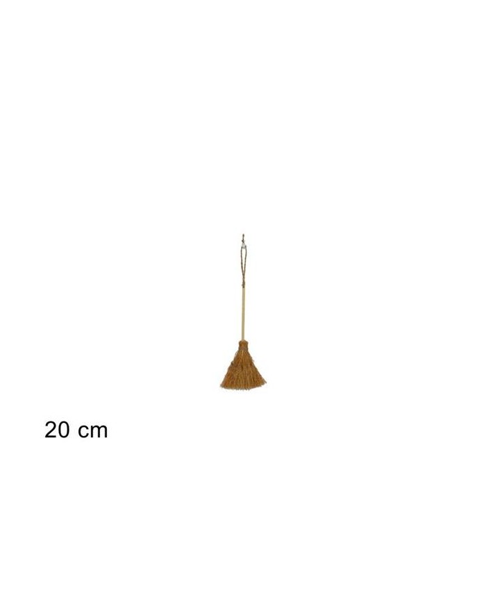 APPENDINO SCOPA BEFANA 20...