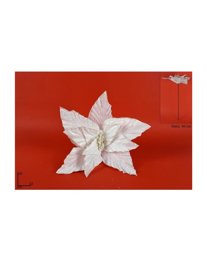 PONSETTA LAMINATA STELO 32...