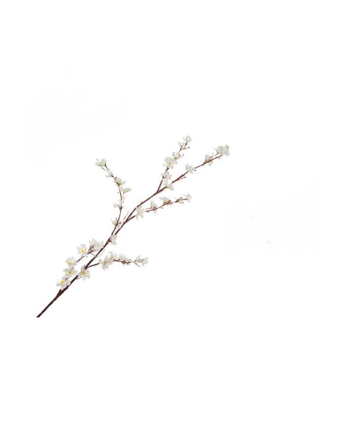 FIORE PESCO MEDIO BIANCO...