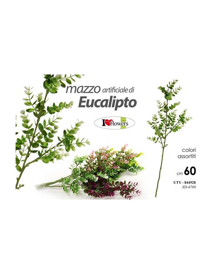 MAZZO DI EUCALIPTO ASS. 60CM.  844928