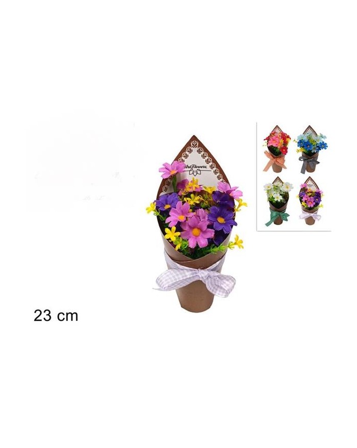 PIANTINA MARGHERITE...