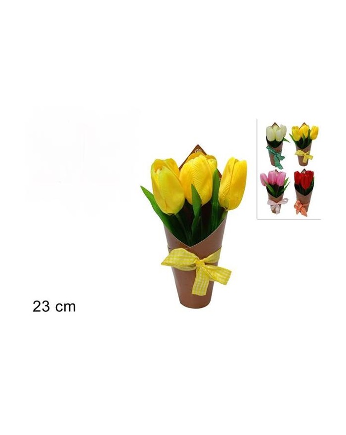 PIANTINA TULIPANI C/CART. E...