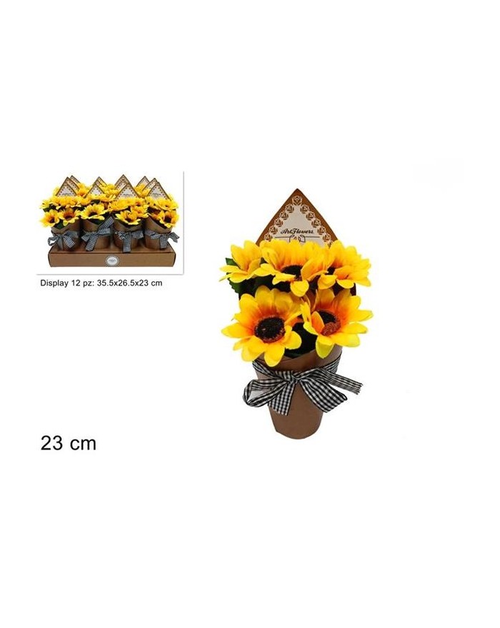 PIANTINA GIRASOLE...