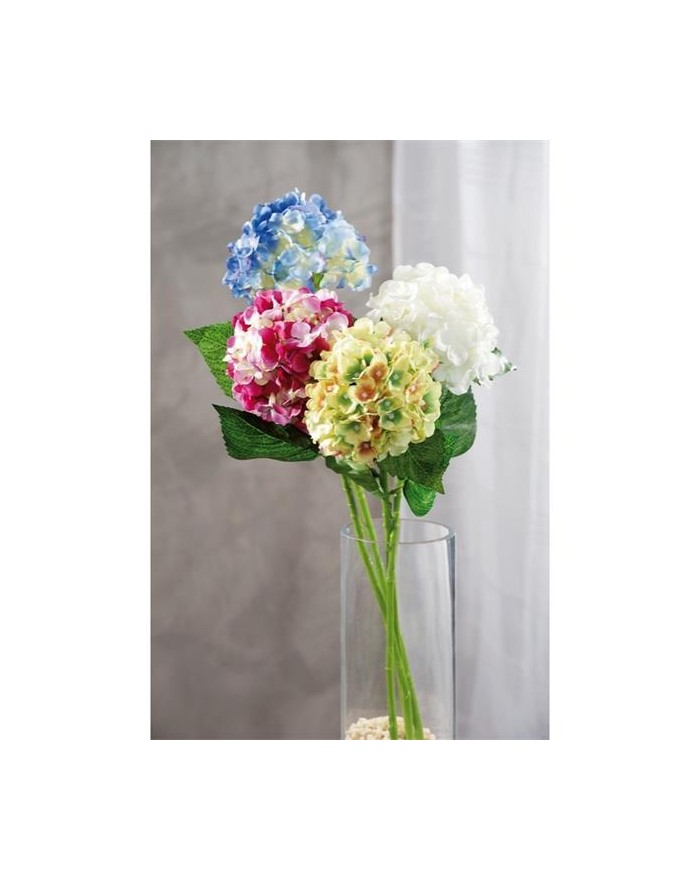 ORTENSIA DEC,.ASS. 56 cm...