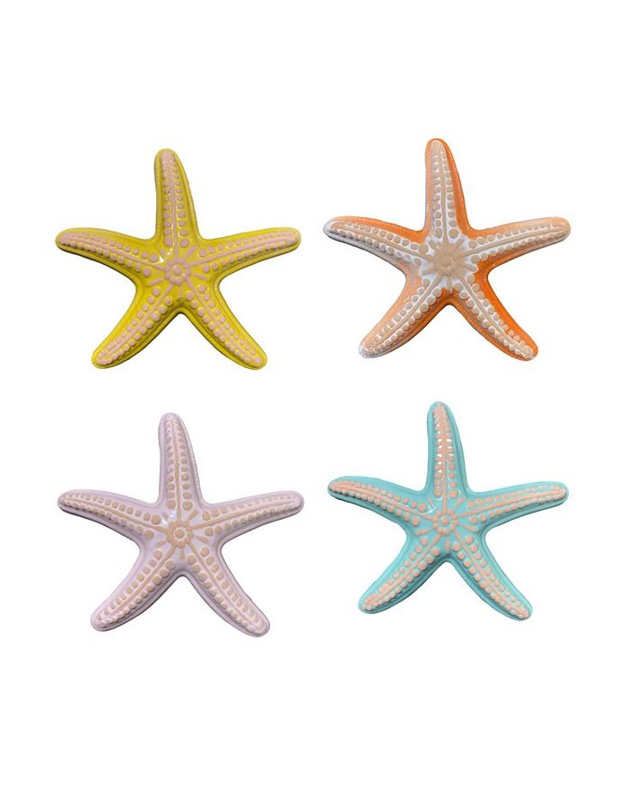 STELLA MARINA 25cm  AMIR34