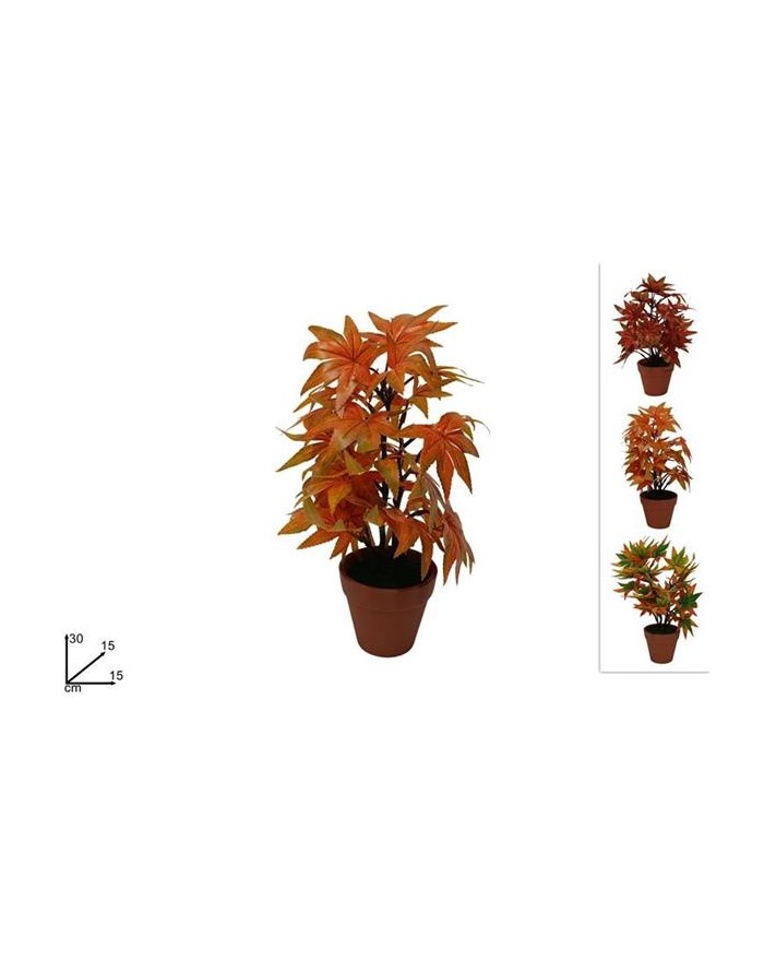 PIANTINA CERAMICA AUTUNNALE...