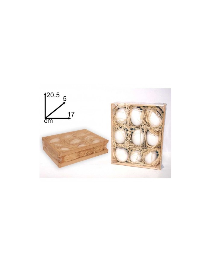 CASSETTA 9 UOVA  A130063