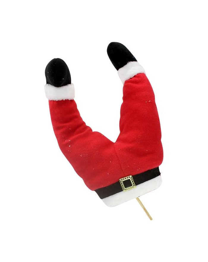 RAGNI 2 PEZZI 15x11cm...