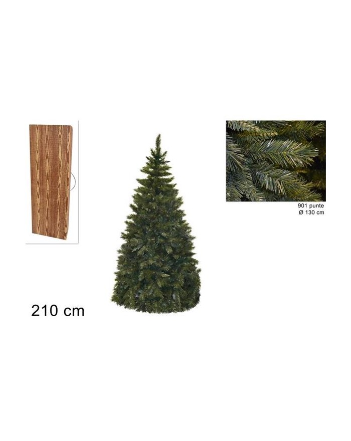 ALBERO PINO DEL POLLINO...