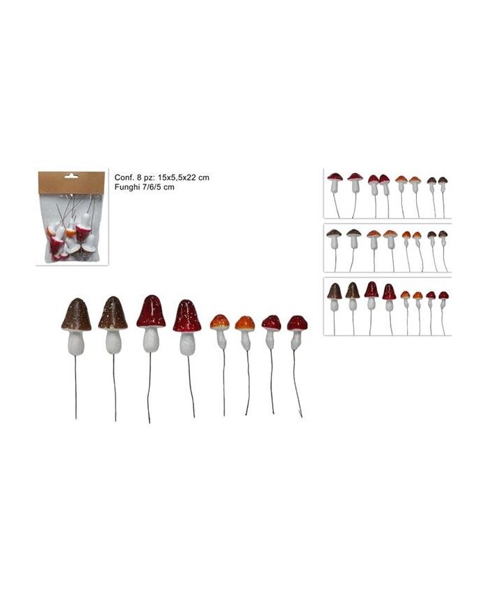 FUNGHI ASSORTITI 8pz...