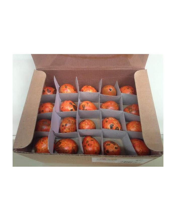 OVETTI DECORATI COLORI...