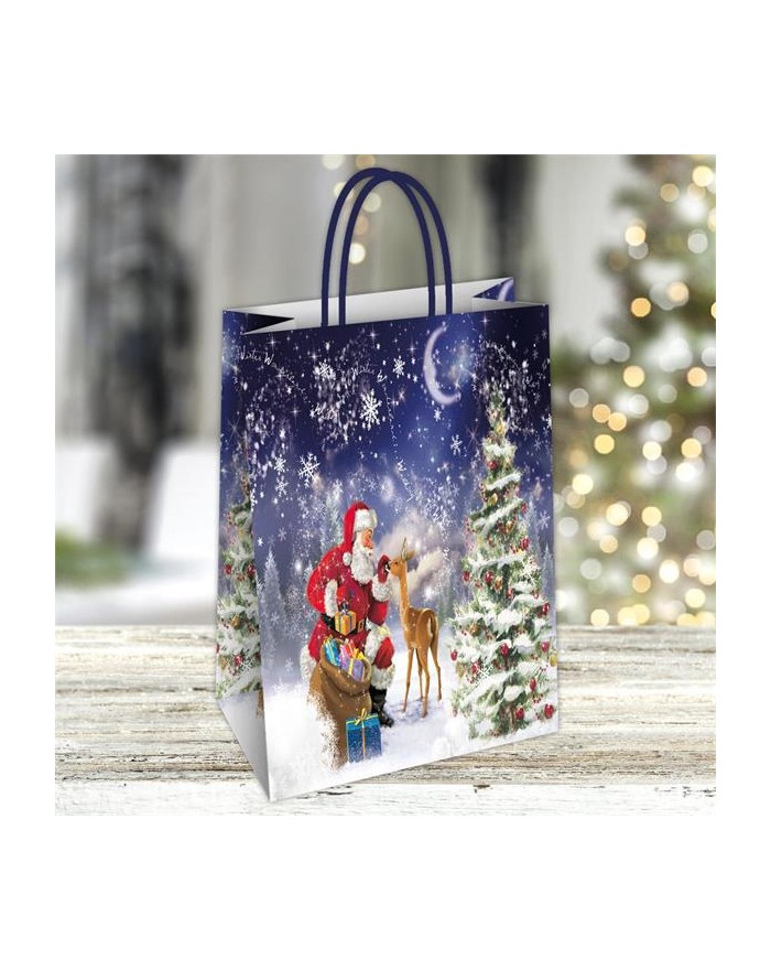 BUSTA NICO 26x12x35  23SH21391