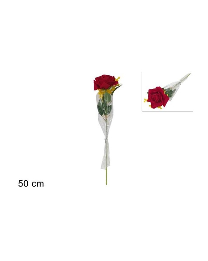 STELO ROSA ROSSA CON MIMOSA...