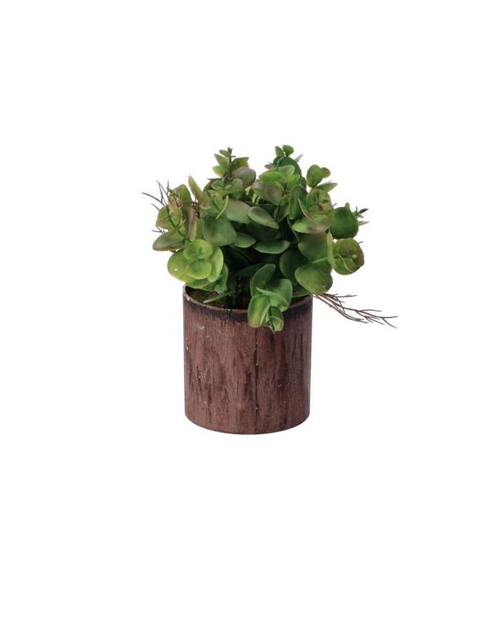 ASCIUGACAPELLI MICROFIBRA...