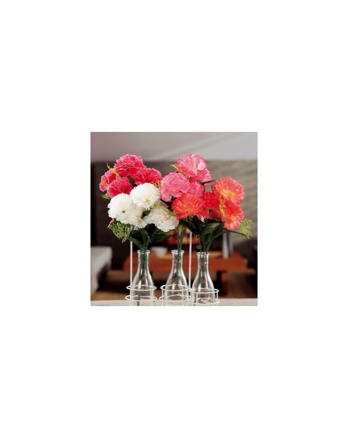 BOUQUET GAROFANI 5 FIORI...