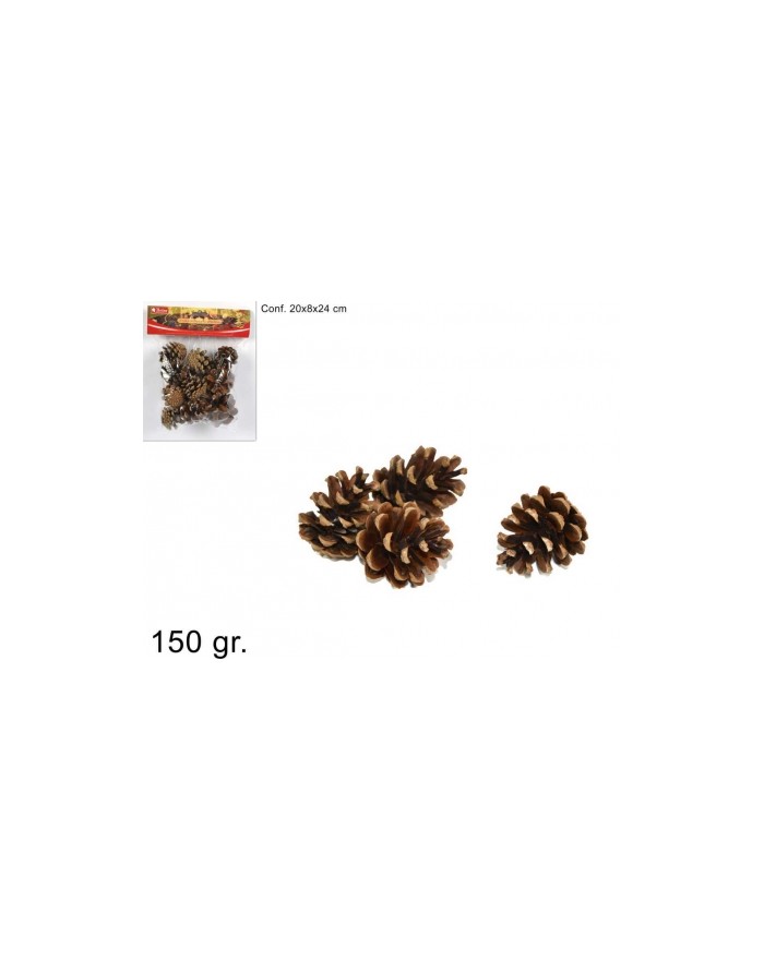 BUSTA PIGNE 150gr.  A200520