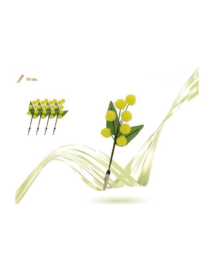 4 RAMETTI MIMOSA CON PINZA...